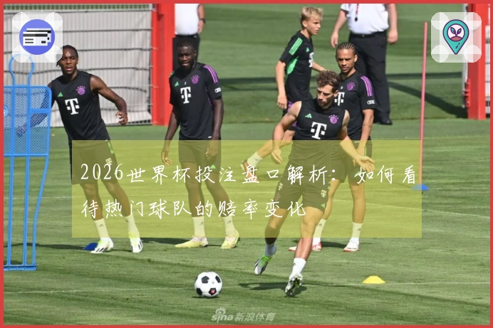 2026世界杯投注盘口解析：如何看待热门球队的赔率变化