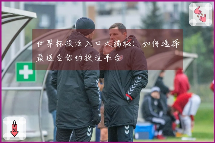 世界杯投注入口大揭秘:如何选择最适合你的投注平台