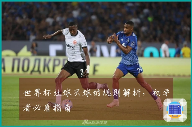 世界杯让球买球的规则解析，初学者必看指南