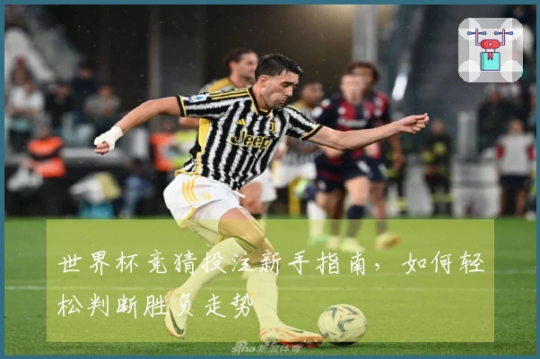 世界杯竞猜投注新手指南，如何轻松判断胜负走势