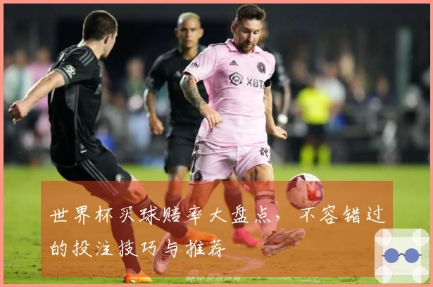 世界杯买球赔率大盘点，不容错过的投注技巧与推荐