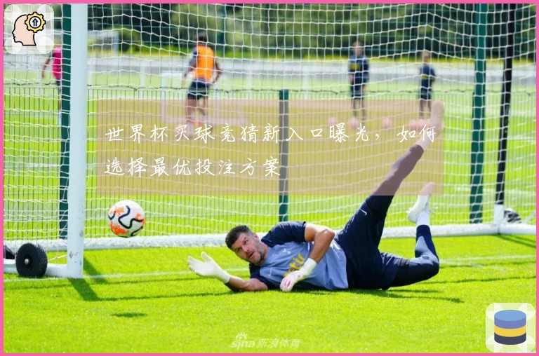 世界杯买球竞猜新入口曝光，如何选择最优投注方案