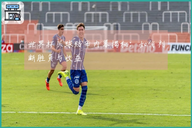 世界杯买球赔率内幕揭秘：如何判断胜负与收益