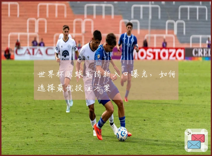 世界杯买球竞猜新入口曝光，如何选择最优投注方案