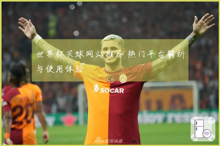 世界杯买球网站推荐 热门平台解析与使用体验