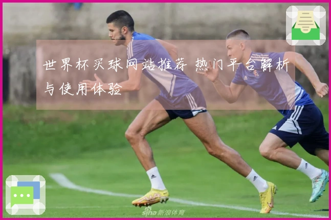 世界杯买球网站推荐 热门平台解析与使用体验